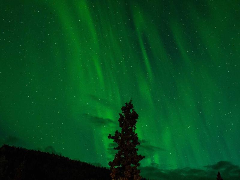 Att. Sello Mokoena Bloemfontein